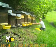 Imker mit Bienenstöcken