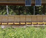Bienenstöcke mit Bienenhütte aus naturbelassenen Holz